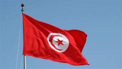فريال الورغى: نسعى لإقامة نافذة رقمية موحدة لتوفير الخدمات للمستثمرين
