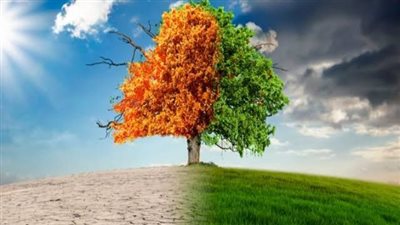 استعادة الأراضي المتدهورة ومكافحة الجفاف والتصحر