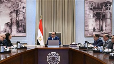 مدبولي يستعرض مقترح ماجنوم لإنشاء برج 