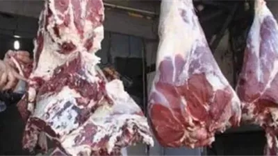 مصر تنتج 600 ألف طن من اللحوم سنويًا.. مسؤول بالزراعة يُجيب
