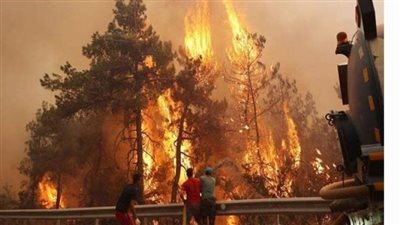 إسبانيا: إجلاء أكثر من ألف شخص بسبب حرائق الغابات غربي البلاد