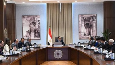 قبيل افتتاح 3 مصانع غدًا.. رئيس الوزراء يلتقي رئيس شركة 