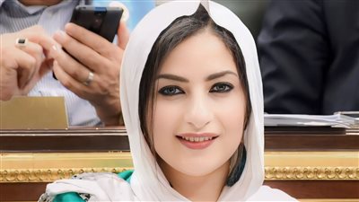 النائبة آيات الحداد تناشد الحكومة بتكثيف إجراءات الردع ضد سرقة التيار الكهربائي