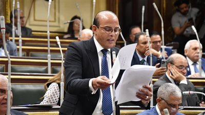 القطامي: تعديلات استئناف الجنايات فى الاقتصادية.. خطوة تخدم الطموحات الاقتصادية في مصر