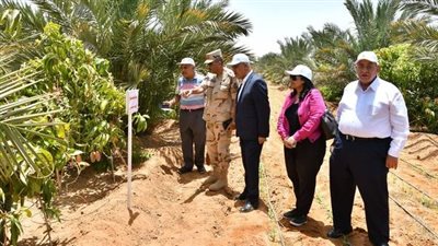 القوات المسلحة تنظم زيارة لمشروع إستصلاح وزراعة الأراضى الصحراوية بتوشكى