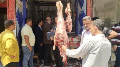 تحرير  117 محضراً متنوعاً خلال حملات تفتيشية على المخابز والأسواق بالمنيا