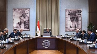 رئيس الوزراء يتابع الموقف التنفيذي للأعمال بالتجمع العمراني الجديد بجزيرة الوراق