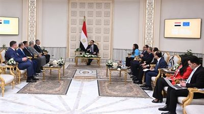 رئيس الوزراء يلتقي مسئولى شركة 