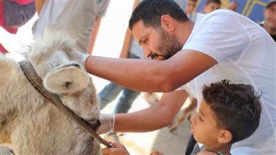 جامعة كفر الشيخ تطلق قافلة بيطرية لقرية نشرت بمركز قلين 