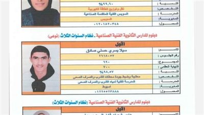 ظهرت الآن.. لينك نتيجة الدبلومات الفنية 2024 الدور الأول برقم الجلوس بعد اعتمادها