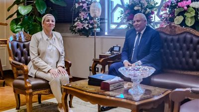 وزيرة البيئة: جريد النخيل مورد اقتصادي يحقق فرصا استثمارية حقيقية بالوادي الجديد