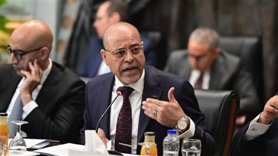 وزير العمل: يجب التنسيق مع وزارة الإستثمار للوقوف على الأنشطة الاستثمارية المطلوبة