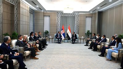 مدبولي يكشف لرئيس صربيا جهود حكومته في الحفاظ على وضع اقتصادي مستقر