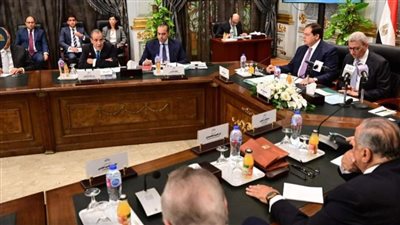 وزير الشئون النيابية: الأمن القومي على رأس أولويات الحكومة وسط التحديات الإقليمية