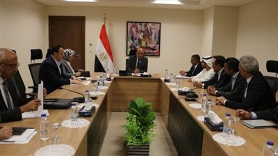 وزير الكهراء: نعمل على الاعتماد على الطاقة المتجددة وخفض استخدام الوقود