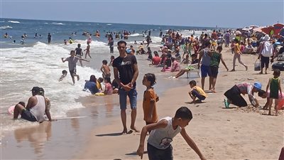  مصيف بلطيم كامل العدد 