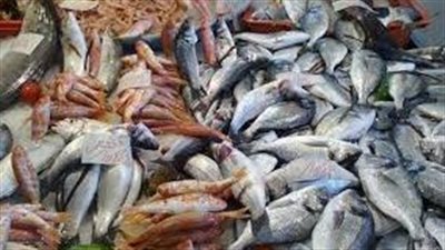 أسعار السمك اليوم الخميس بسوق العبور للجملة