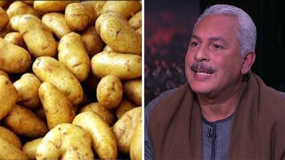بعد وصولها لـ 35 جنيهاً.. نقيب الفلاحين يرفض وقف تصدير البطاطس 