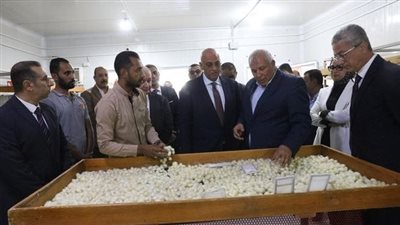 “تنمية المشروعات”: نتعاون مع محافظة الوادي الجديد لاستغلال الفرص الاستثمارية
