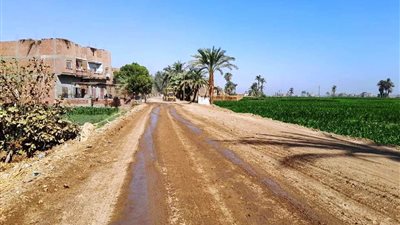 حملات مكبرة للنظافة وتمهيد الطرق بمركز ومدينة المراغة بسوهاج 