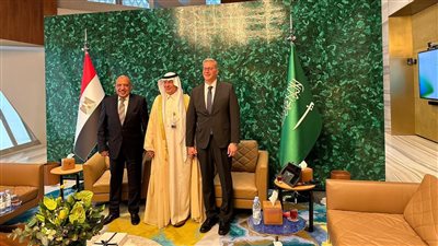 مصر والسعودية تناقشان سبل تعزيز التعاون المشترك في مجال الطاقة