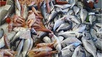 أسعار السمك اليوم الإثنين بسوق العبور للجملة.. البلطي بـ 58 جنيها