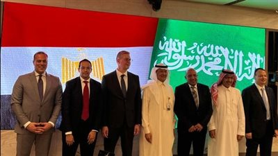 تشكيل لجان عمل مشتركة للمتابعة في مشروع الربط الكهربائي بين مصرو السعودية