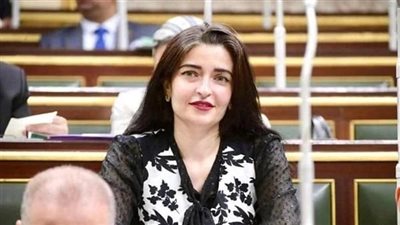 «صحة النواب» تتحرك لضبط سوق الدواء.. إيرين سعيد: إجراءات حاسمة ضد الشركات المخالفة