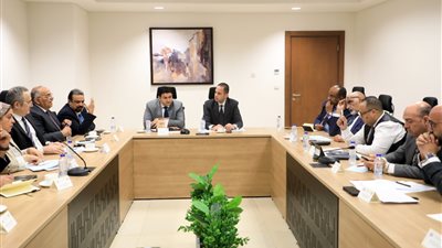 حوكمة منظومة الرعايات والحضانات بوزارة الصحة