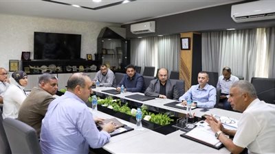 محافظ أسوان: البدء الفورى فى تنفيذ الحل الجذرى للقضاء على مشكلة الصرف الصحى لمحطة الكرور