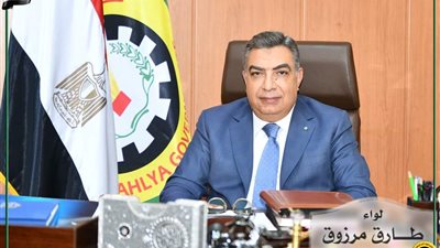 محافظ الدقهلية يقرر غلق أحد المخابز البلدية بمدينة بلقاس.. تعرف السبب 