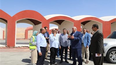 محافظ الوادي الجديد يتابع أعمال 