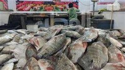 سعر السمك اليوم الثلاثاء بسوق العبور للجملة.. البلطي بـ 55 جنيها