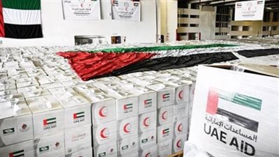 الإمارات : تقديم 70 طنا من المساعدات الإنسانية الإغاثة النازحين في غزة