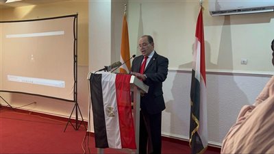 سفير مصر بالنيجر يؤكد قوة العلاقات بين البلدين