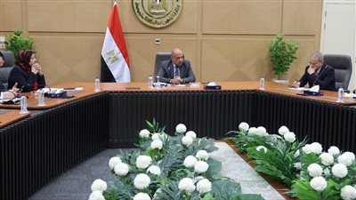 وزير الكهرباء: التصدي لسرقات التيار وعقوبات صارمة للمتهاونين في نطاق عملهم