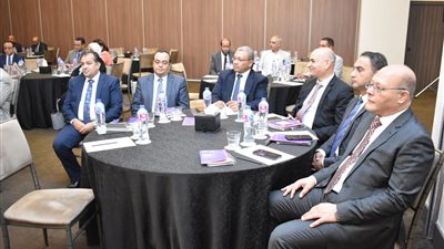 رئيس جامعة جنوب الوادي يشارك فى ورشة عمل عن 