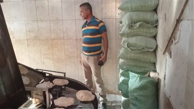 محافظ كفرالشيخ: حملات متواصلة ومفاجئة على المخابز
