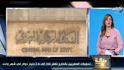 سبب ارتفاع سعر الدولار مقابل الجنيه.. خبير اقتصادي يوضح ( تفاصيل ) 