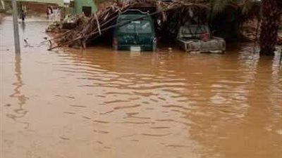 لم تحدث منذ مئات السنين.. « شراقي » أمطار غزيرة على الحدود المصرية - السودانية