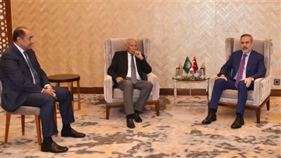 أبو الغيط يلتقي وزير خارجية تركيا لبحث الوضع الإقليمي والعدوان الإسرائيلي على غزة