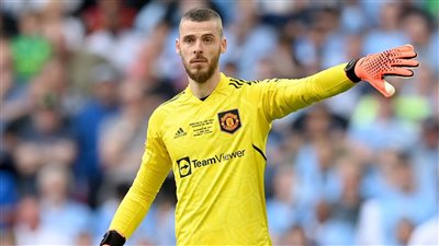 حارس المرمى الإسباني دي خيا ينضم إلى فيورنتينا الإيطالي بعد عام من الغياب عن كرة القدم