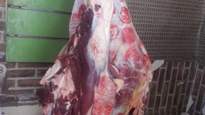 قبل بيعها للمواطنين.. بيطرى قنا يضبط 70 كيلو لحوم و دواجن فاسدة
