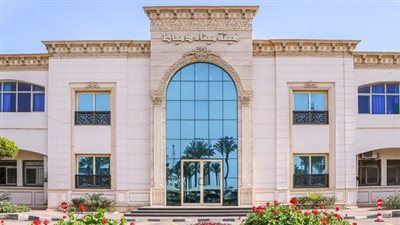 ميناء دمياط البحري: تداول 30 سفينة حاويات وبضائع عامة