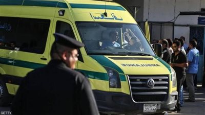 تفاصيل مشاجرة وادي النطرون.. خلافات بين عاملين تتحول إلى اشتباك بالأيدي والعصا الخشبية