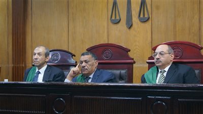 الإعدام لقاتلي طفل الجيزة لسرقة التوك توك 