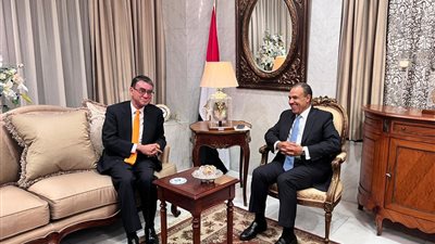    وزير الخارجية: الدولة قطعت شوطاً طويلاً  لتوفير بنية داعمة لتطوير تكنولوجيا المعلومات