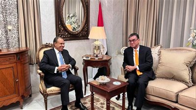 عبدالعاطي: نتطلع للتعاون مع اليابان في مجال الذكاء الاصطناعي