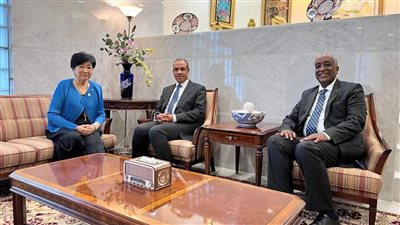 وزير الخارجية المصرية:مصر تستفيد من خبرات اليابان في مجال الحفاظ علي البيئة والتحول الأخضر