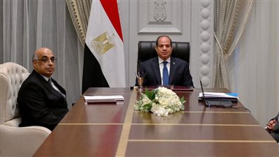 الرئيس السيسي يتابع تعزيز منظومة التقاضي والتطوير التقني للتأمين الاجتماعي